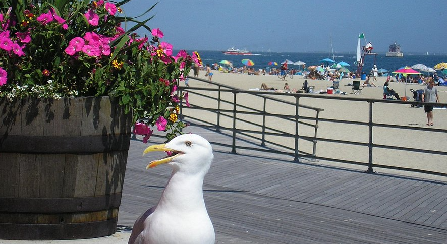 Ocean Beach Park, United States